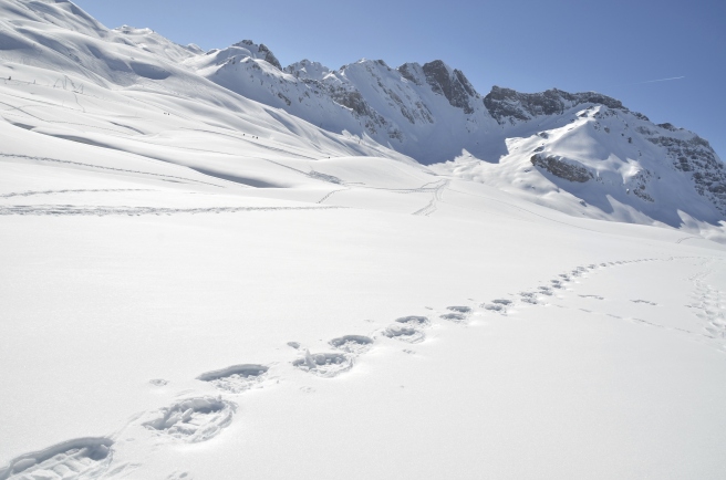 footprints in snow.jpg